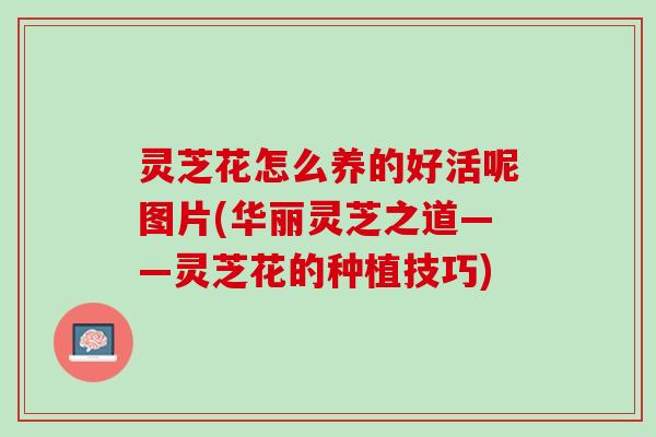 灵芝花怎么养的好活呢图片(华丽灵芝之道——灵芝花的种植技巧)