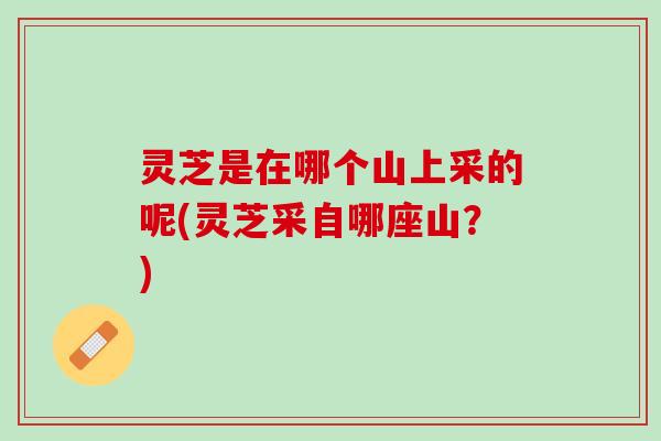 灵芝是在哪个山上采的呢(灵芝采自哪座山？)