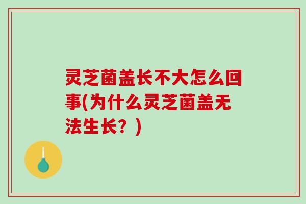 灵芝菌盖长不大怎么回事(为什么灵芝菌盖无法生长？)