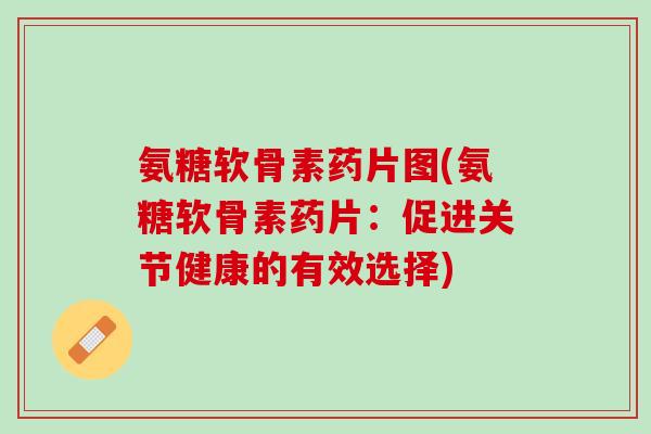 氨糖软骨素药片图(氨糖软骨素药片：促进关节健康的有效选择)
