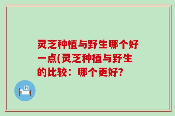 灵芝种植与野生哪个好一点(灵芝种植与野生的比较：哪个更好？