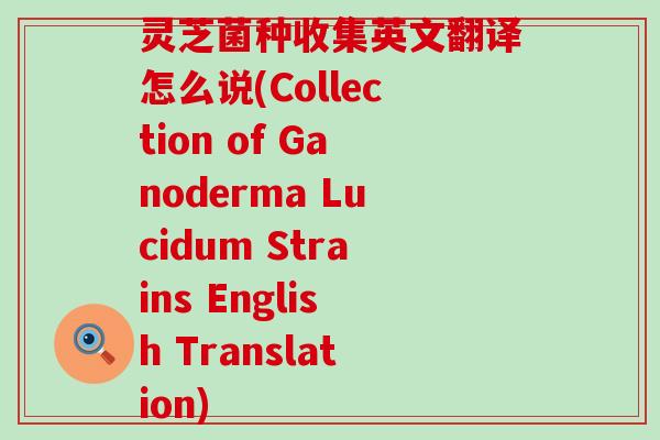 灵芝菌种收集英文翻译怎么说(Collection of Ganoderma Lucidum Strains English Translation)