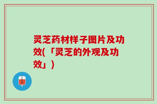 灵芝药材样子图片及功效(「灵芝的外观及功效」)