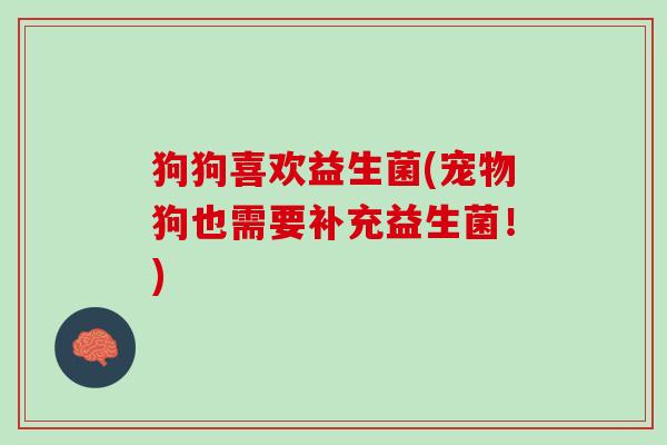狗狗喜欢益生菌(宠物狗也需要补充益生菌！)