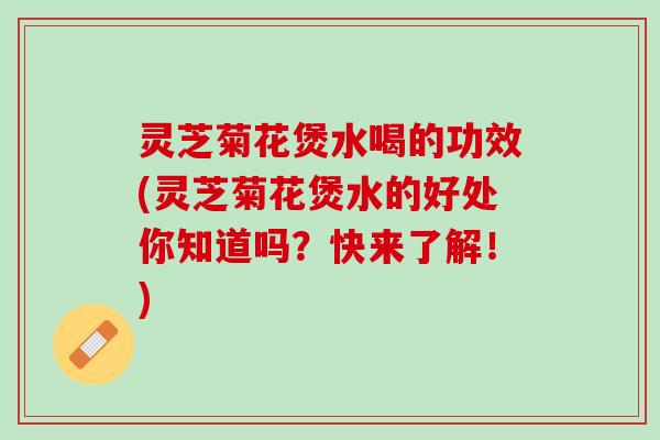 灵芝菊花煲水喝的功效(灵芝菊花煲水的好处你知道吗？快来了解！)