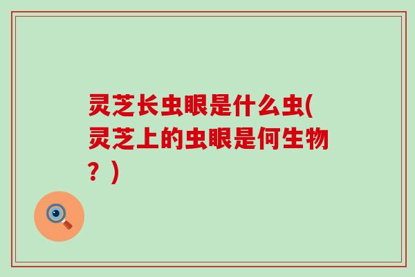 灵芝长虫眼是什么虫(灵芝上的虫眼是何生物？)