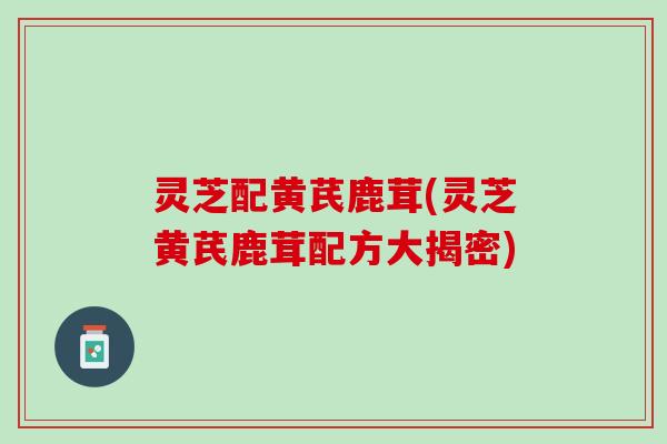 灵芝配黄芪鹿茸(灵芝黄芪鹿茸配方大揭密)