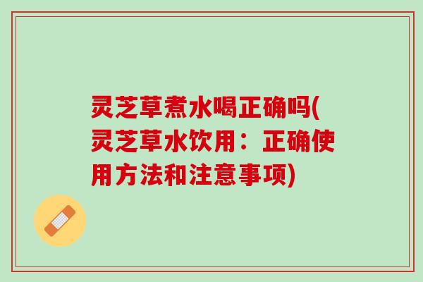灵芝草煮水喝正确吗(灵芝草水饮用：正确使用方法和注意事项)