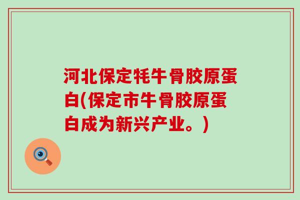 河北保定牦牛骨胶原蛋白(保定市牛骨胶原蛋白成为新兴产业。)
