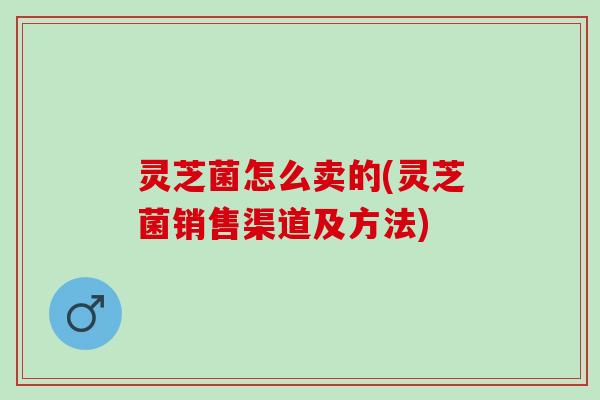 灵芝菌怎么卖的(灵芝菌销售渠道及方法)
