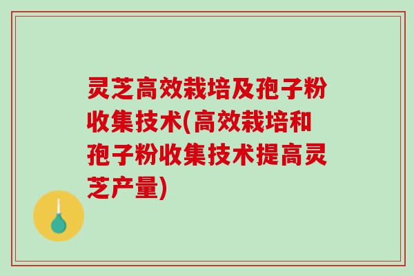 灵芝高效栽培及孢子粉收集技术(高效栽培和孢子粉收集技术提高灵芝产量)