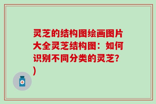 灵芝的结构图绘画图片大全灵芝结构图：如何识别不同分类的灵芝？)