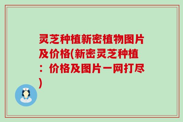 灵芝种植新密植物图片及价格(新密灵芝种植：价格及图片一网打尽)