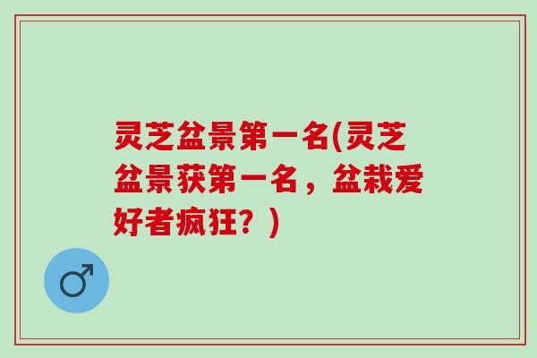 灵芝盆景第一名(灵芝盆景获第一名，盆栽爱好者疯狂？)