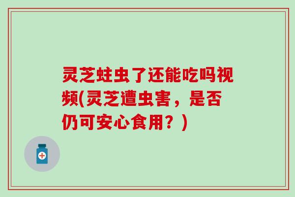 灵芝蛀虫了还能吃吗视频(灵芝遭虫害，是否仍可安心食用？)