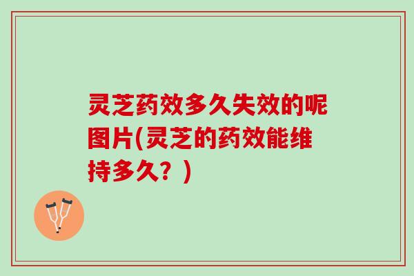 灵芝药效多久失效的呢图片(灵芝的药效能维持多久？)