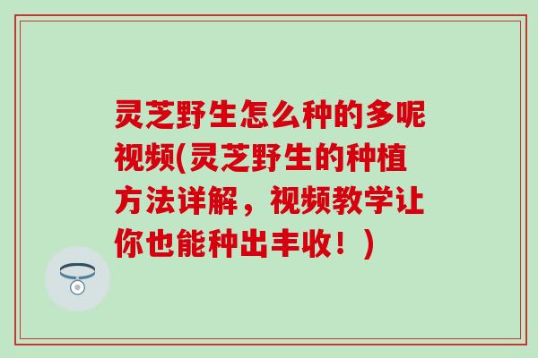 灵芝野生怎么种的多呢视频(灵芝野生的种植方法详解，视频教学让你也能种出丰收！)