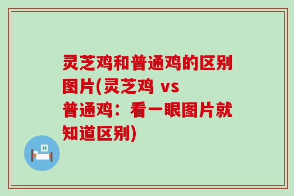 灵芝鸡和普通鸡的区别图片(灵芝鸡 vs 普通鸡:看一眼图片就知道区别) 灵芝鸡和普通鸡的区别图片(灵芝鸡 vs 普通鸡:看一眼图片就知道区别)