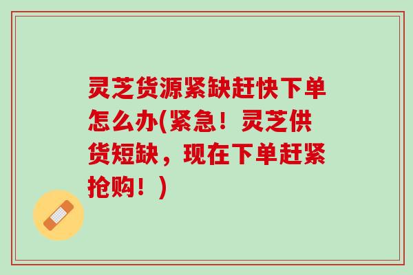 灵芝货源紧缺赶快下单怎么办(紧急！灵芝供货短缺，现在下单赶紧抢购！)