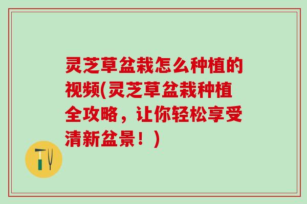 灵芝草盆栽怎么种植的视频(灵芝草盆栽种植全攻略，让你轻松享受清新盆景！)