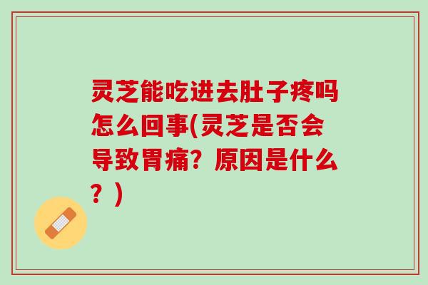 灵芝能吃进去肚子疼吗怎么回事(灵芝是否会导致胃痛？原因是什么？)