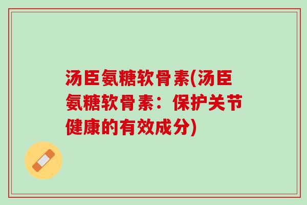 汤臣氨糖软骨素(汤臣氨糖软骨素：保护关节健康的有效成分)