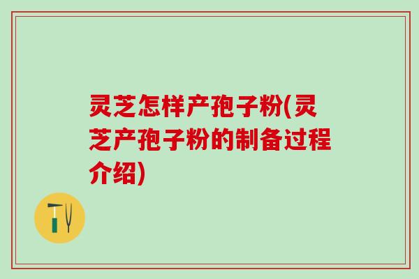 灵芝怎样产孢子粉(灵芝产孢子粉的制备过程介绍)