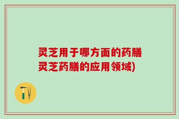灵芝用于哪方面的药膳灵芝药膳的应用领域)