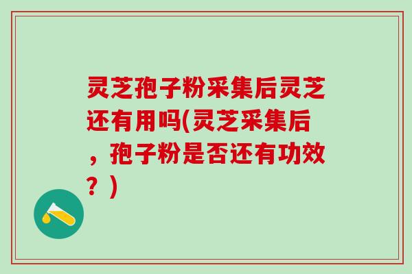 灵芝孢子粉采集后灵芝还有用吗(灵芝采集后，孢子粉是否还有功效？)