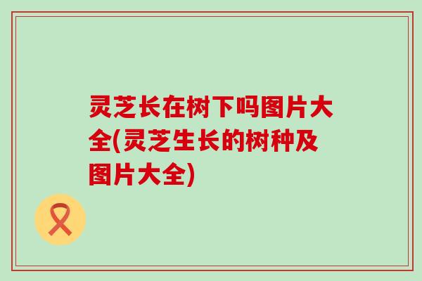 灵芝长在树下吗图片大全(灵芝生长的树种及图片大全)