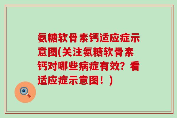 氨糖软骨素钙适应症示意图(关注氨糖软骨素钙对哪些病症有效？看适应症示意图！)