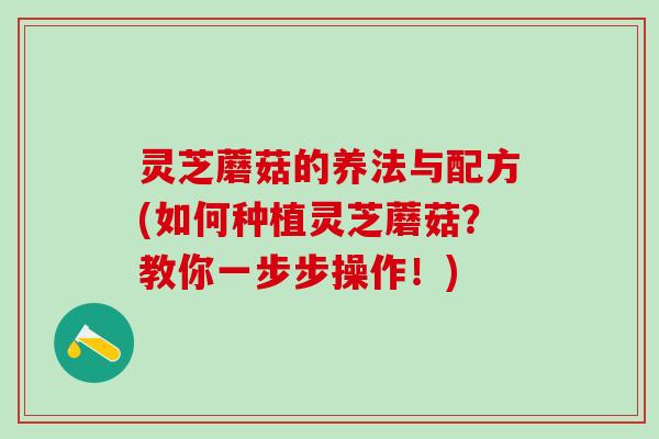 灵芝蘑菇的养法与配方(如何种植灵芝蘑菇？教你一步步操作！)