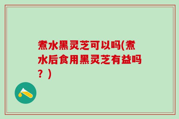 煮水黑灵芝可以吗(煮水后食用黑灵芝有益吗？)