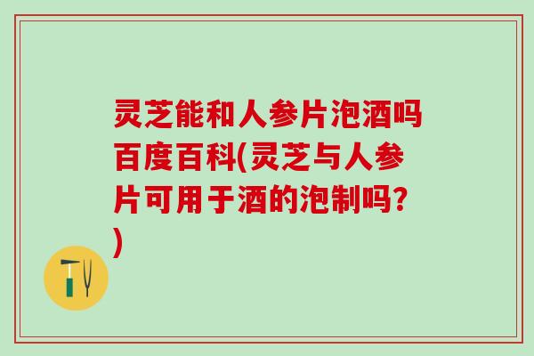 灵芝能和人参片泡酒吗百度百科(灵芝与人参片可用于酒的泡制吗？)