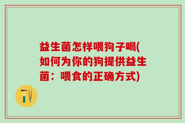 益生菌怎样喂狗子喝(如何为你的狗提供益生菌：喂食的正确方式)