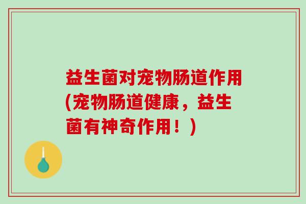 益生菌对宠物肠道作用(宠物肠道健康，益生菌有神奇作用！)