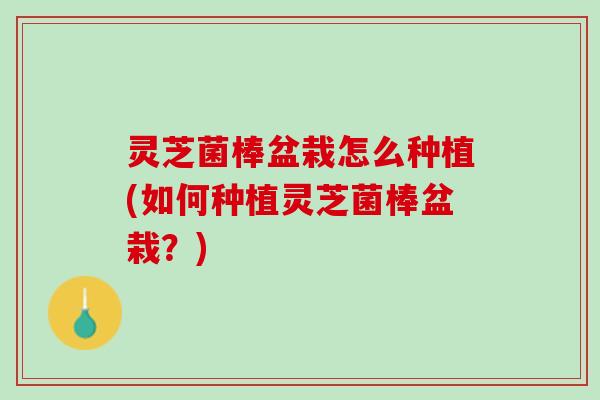 灵芝菌棒盆栽怎么种植(如何种植灵芝菌棒盆栽？)