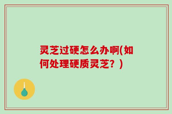 灵芝过硬怎么办啊(如何处理硬质灵芝？)
