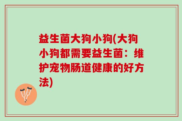 益生菌大狗小狗(大狗小狗都需要益生菌：维护宠物肠道健康的好方法)
