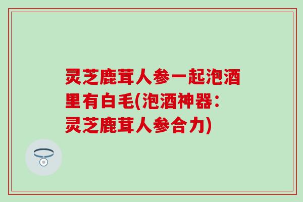 灵芝鹿茸人参一起泡酒里有白毛(泡酒神器：灵芝鹿茸人参合力)