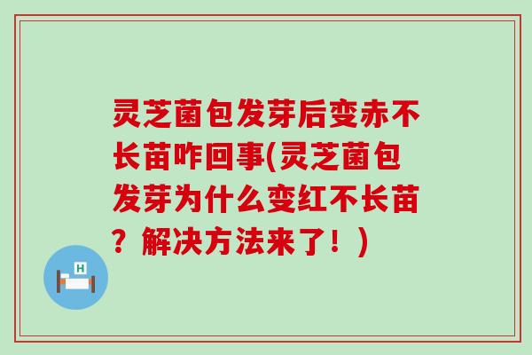 灵芝菌包发芽后变赤不长苗咋回事(灵芝菌包发芽为什么变红不长苗？解决方法来了！)