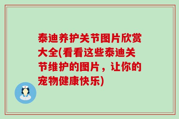 泰迪养护关节图片欣赏大全(看看这些泰迪关节维护的图片，让你的宠物健康快乐)