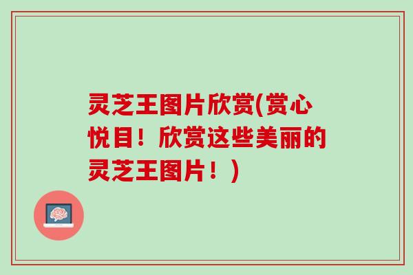 灵芝王图片欣赏(赏心悦目！欣赏这些美丽的灵芝王图片！)