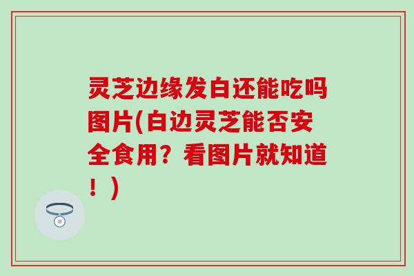 灵芝边缘发白还能吃吗图片(白边灵芝能否安全食用？看图片就知道！)