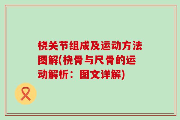 桡关节组成及运动方法图解(桡骨与尺骨的运动解析：图文详解)