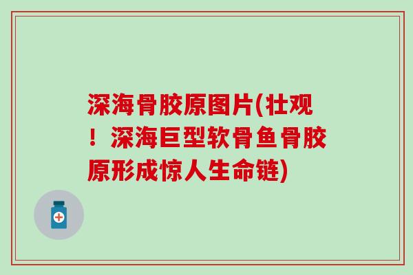 深海骨胶原图片(壮观！深海巨型软骨鱼骨胶原形成惊人生命链)