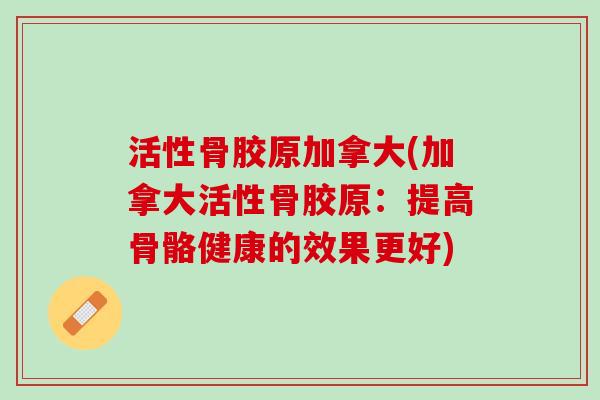 活性骨胶原加拿大(加拿大活性骨胶原：提高骨骼健康的效果更好)