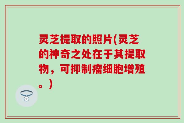 灵芝提取的照片(灵芝的神奇之处在于其提取物,可抑制瘤细胞增殖。) 灵芝提取的照片(灵芝的神奇之处在于其提取物,可抑制瘤细胞增殖。)