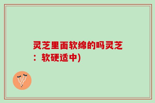 灵芝里面软绵的吗灵芝：软硬适中)
