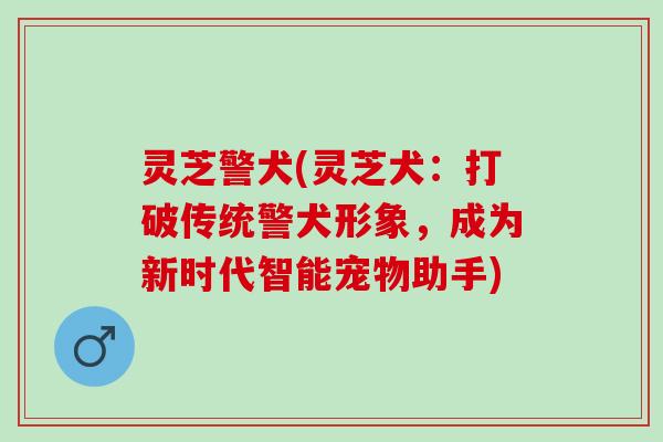 灵芝警犬(灵芝犬：打破传统警犬形象，成为新时代智能宠物助手)